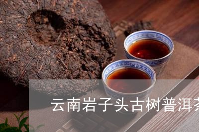 云南岩子头古树普洱茶的口感/2023052795147