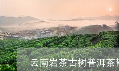 云南岩茶古树普洱茶散茶/2023082876147