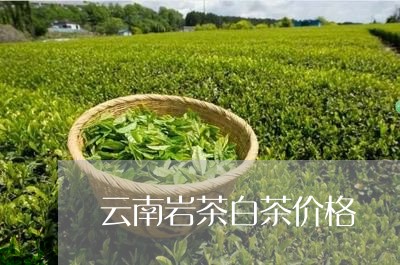 云南岩茶白茶价格/2023061457262