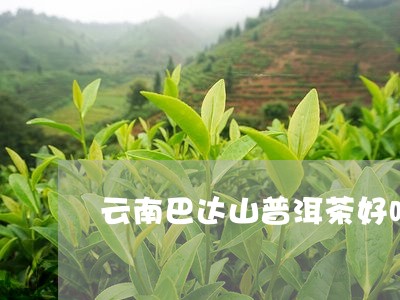 云南巴达山普洱茶好吗/2023062303927