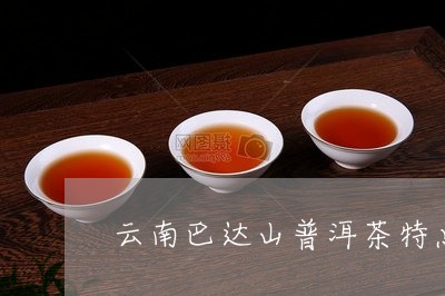 云南巴达山普洱茶特点/2023061905949