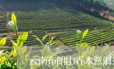 云南布朗山乔木普洱茶/2023080194826