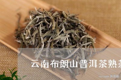 云南布朗山普洱茶熟茶250克/2023052980503