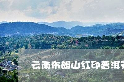 云南布朗山红印普洱茶/2023062364815