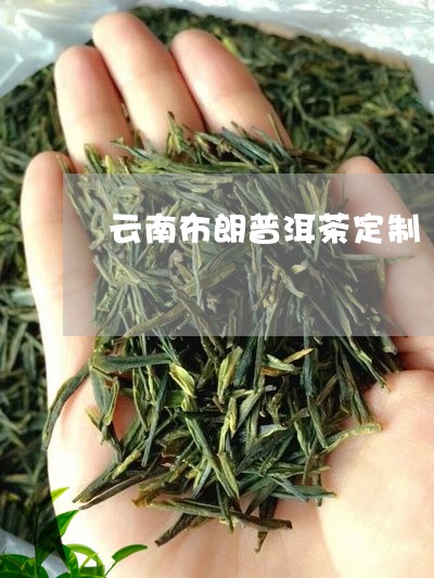 云南布朗普洱茶定制/2023070975926