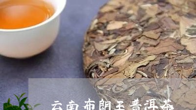 云南布朗王普洱茶/2023120437461