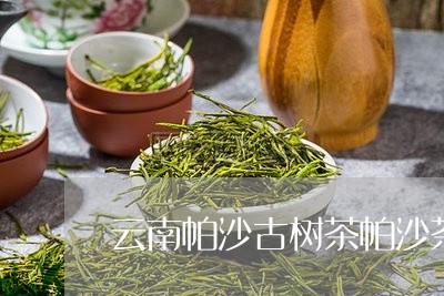 云南帕沙古树茶帕沙茶价格/2023051291815