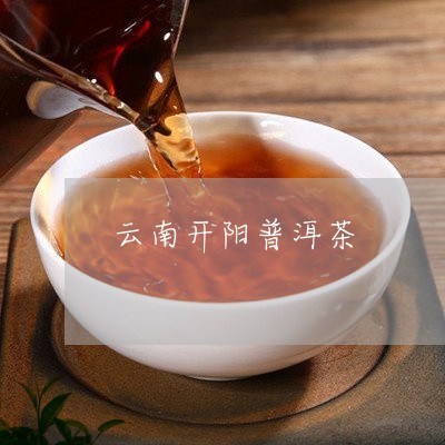 云南开阳普洱茶/2023101686071