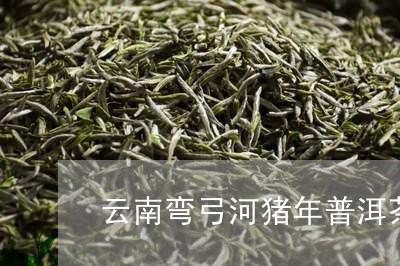 云南弯弓河猪年普洱茶/2023100535958