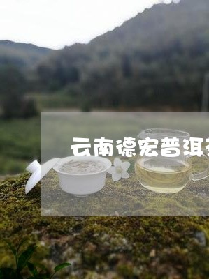 云南德宏普洱茶特点/2023071161705