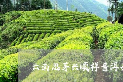 云南思茅兴顺祥普洱茶/2023093080825