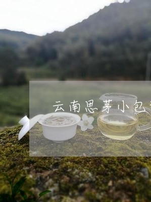 云南思茅小包装普洱茶/2023062109594