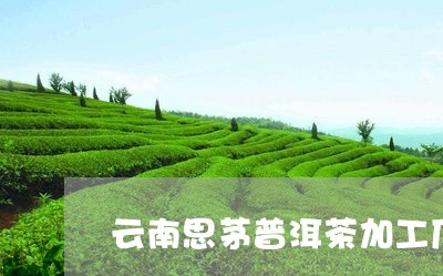 云南思茅普洱茶加工厂/2023092981849