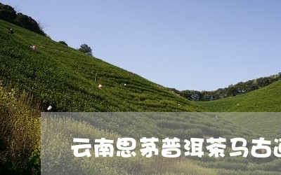 云南思茅普洱茶马古道/2023080167379