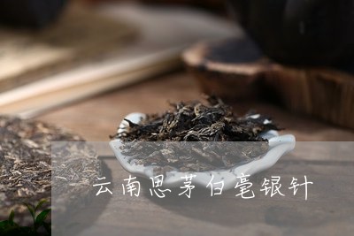 云南思茅白毫银针/2023061434046