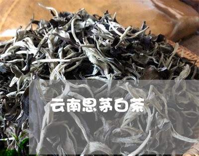 云南思茅白茶/2023051397480