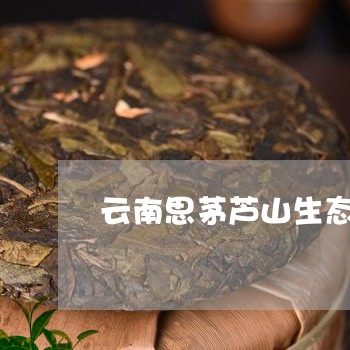 云南思茅芦山生态茶厂/2023061002635