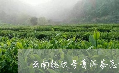 云南懿欣号普洱茶怎样/2023092893805