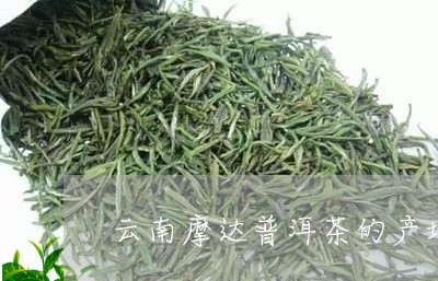 云南摩达普洱茶的产地/2023062241795