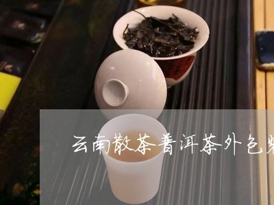 云南散茶普洱茶外包装厂/2023120738325