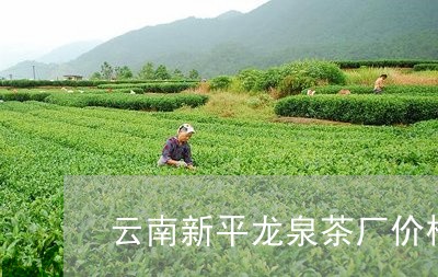 云南新平龙泉茶厂价格/2023071666259