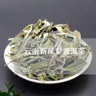 云南新茂堂普洱茶/2023101636058