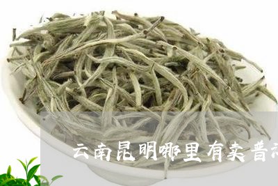 云南昆明哪里有卖普洱茶/2023120741704