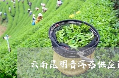 云南昆明普洱茶供应商/2023120687069