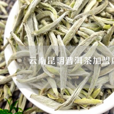 云南昆明普洱茶加盟店/2023092515260