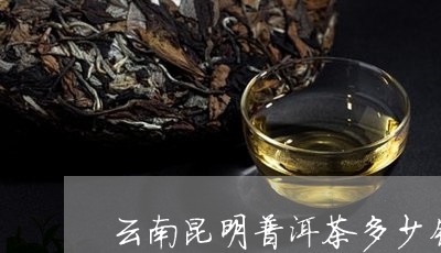 云南昆明普洱茶多少钱/2023062941592