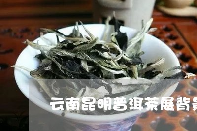 云南昆明普洱茶展背景/2023073013029