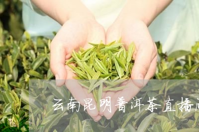 云南昆明普洱茶直播间/2023120668363