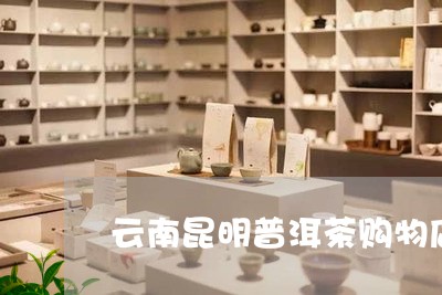 云南昆明普洱茶购物店/2023072419382