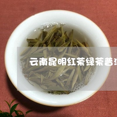 云南昆明红茶绿茶普洱茶批发/2023102595848