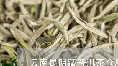 云南昆明藏普洱茶仓库/2023062919371