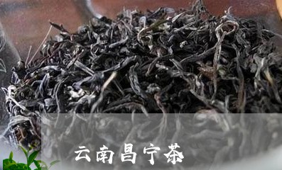 云南昌宁茶/2023041702198