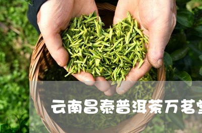 云南昌泰普洱茶万茗堂/2023062092816