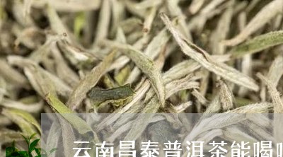 云南昌泰普洱茶能喝吗/2023092812705