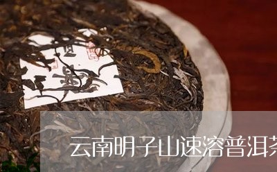 云南明子山速溶普洱茶/2023073078170