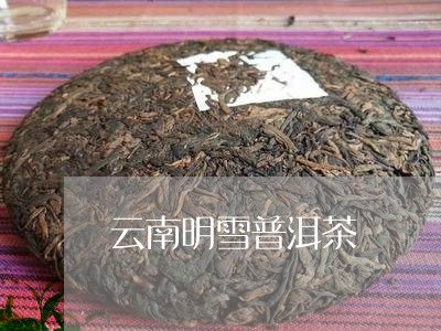 云南明雪普洱茶/2023102615736