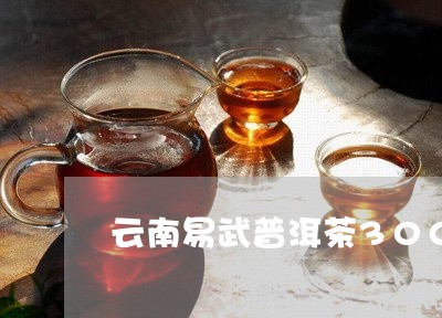 云南易武普洱茶3000克价格表/2023060270606