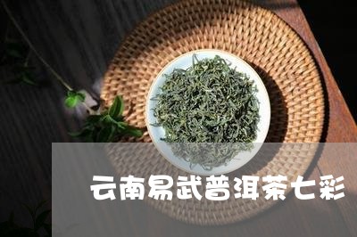 云南易武普洱茶七彩/2023061541515