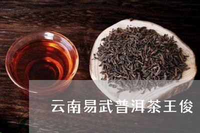 云南易武普洱茶王俊/2023091517068