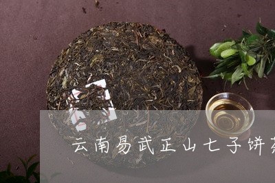 云南易武正山七子饼茶普洱茶/2023052789826