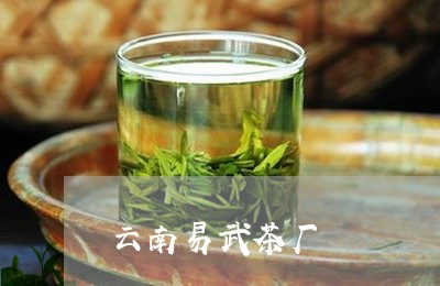 云南易武茶厂/2023042996897