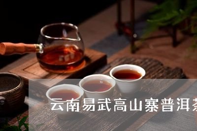 云南易武高山寨普洱茶/2023062072714