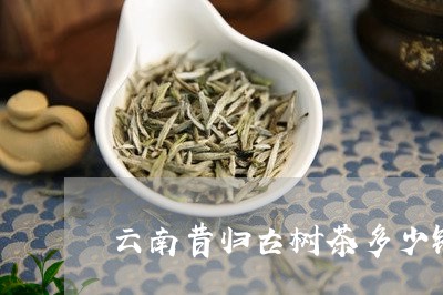 云南昔归古树茶多少钱一饼/2023051249591