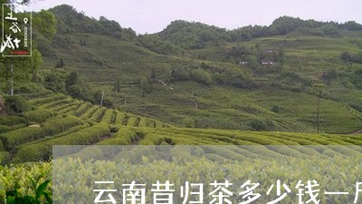 云南昔归茶多少钱一斤/2023061012794