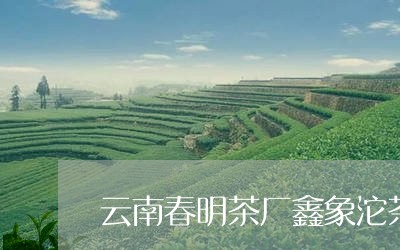 云南春明茶厂鑫象沱茶/2023061017149