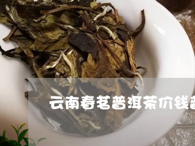 云南春茗普洱茶价钱普洱茶啥时候喝/2023060362604